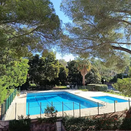 Le Pin Des Ecureuils