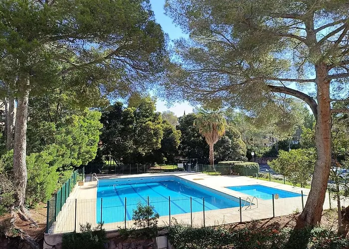 Le Pin Des Ecureuils