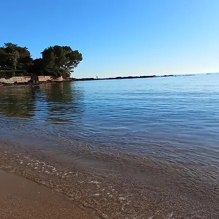 Le Pin Des écureuils Saint-Raphaël