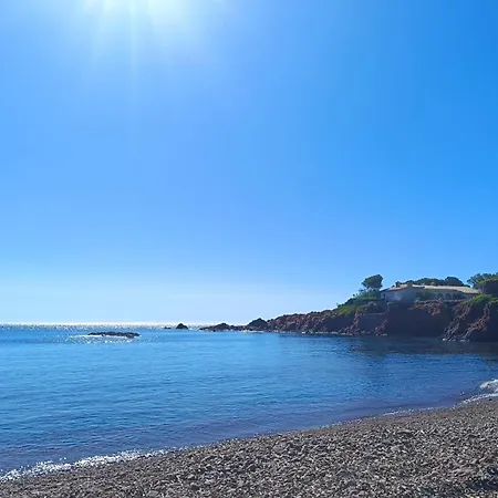 Le Pin Des écureuils Saint-Raphaël