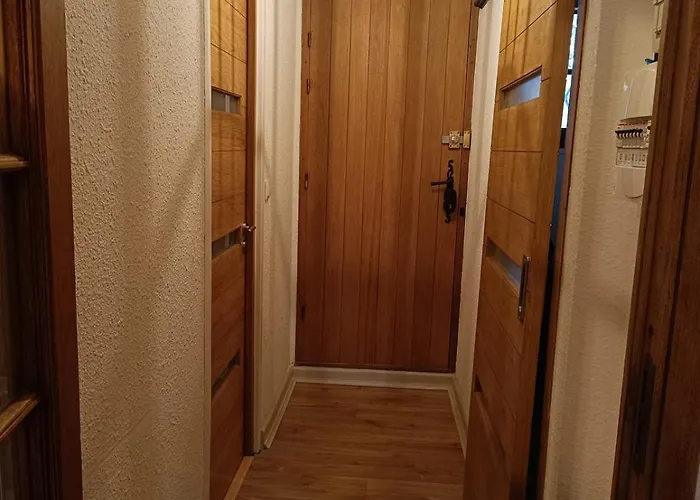 Le Pin Des Ecureuils Saint-Raphael (Var)