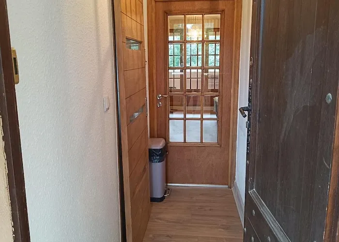 Le Pin Des Ecureuils * Saint-Raphael (Var)