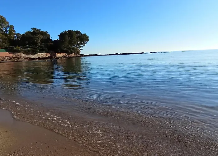 Le Pin Des Ecureuils Saint-Raphael (Var)