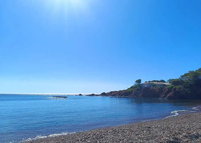 Le Pin Des Ecureuils Saint-Raphael (Var)